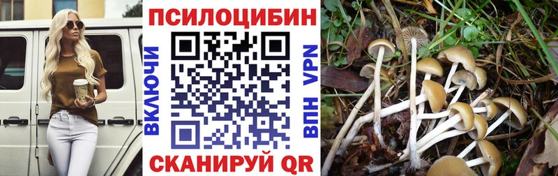 Галлюциногенные грибы Psilocybine cubensis  Вельск 